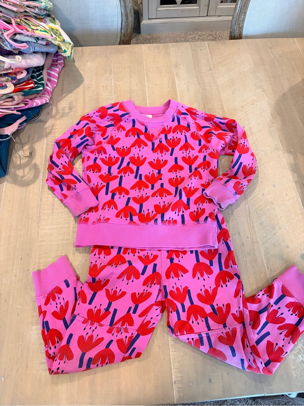 Hanna Andersson Pink Sweatsuit with Red Floral Print